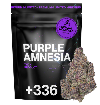 Purple Amnésia THC+