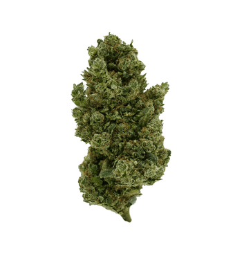 Sango Kush CBX