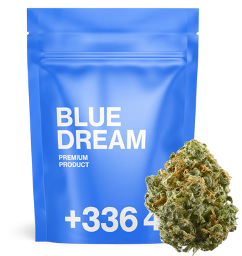 Blue Dream TH+