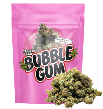 Bubble Gum THCA