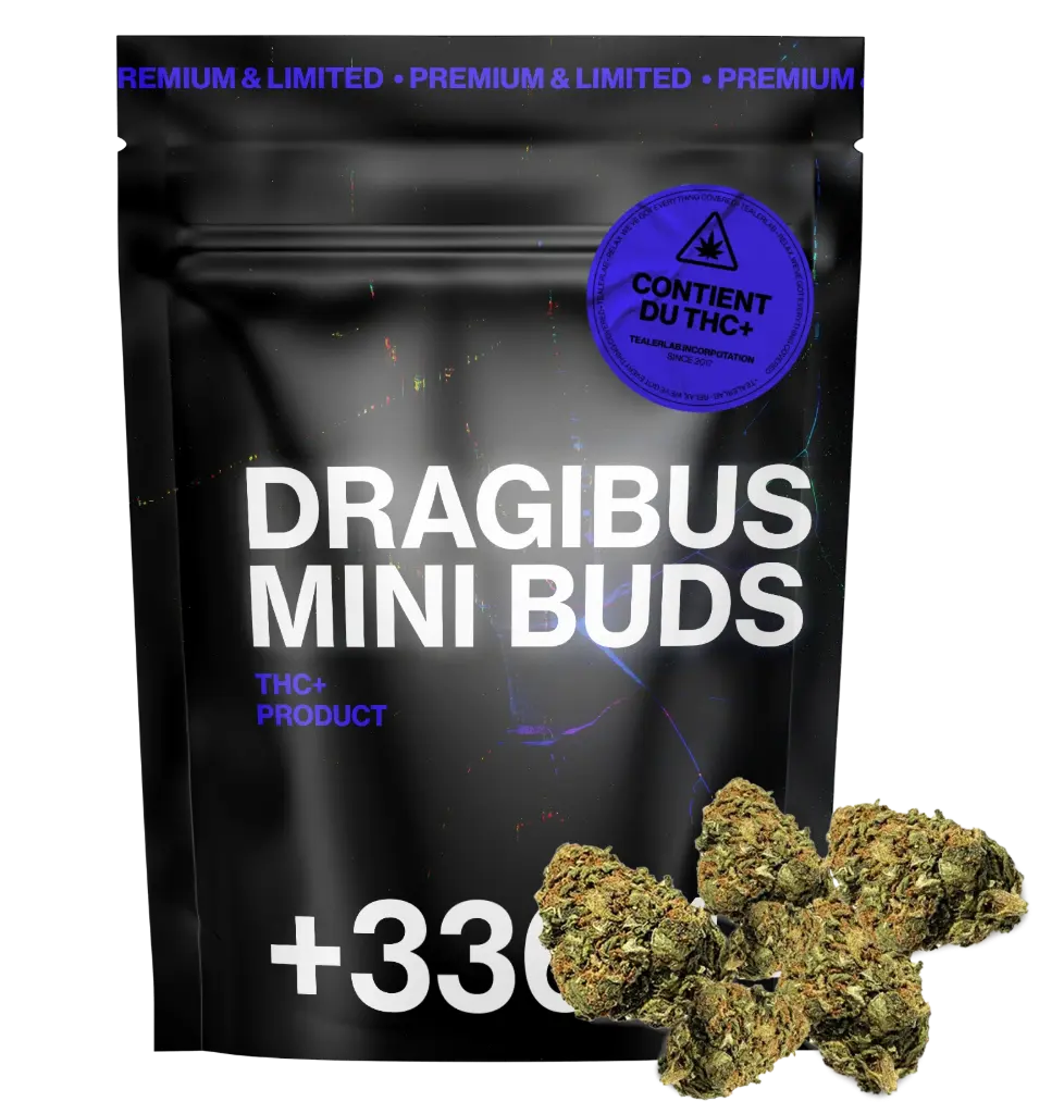DragiBud THC+