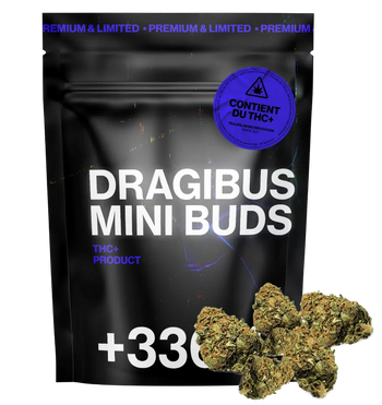 DragiBud THC+