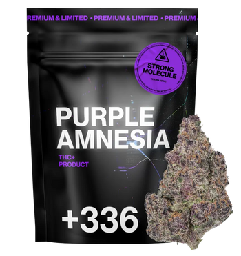 Purple Amnésia THC+