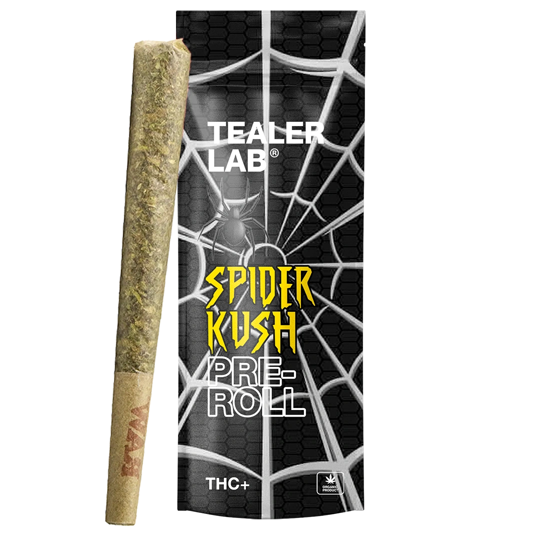 Pack Preroll spider THC+