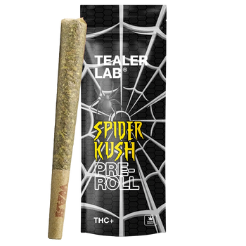 Pack Preroll spider THC+