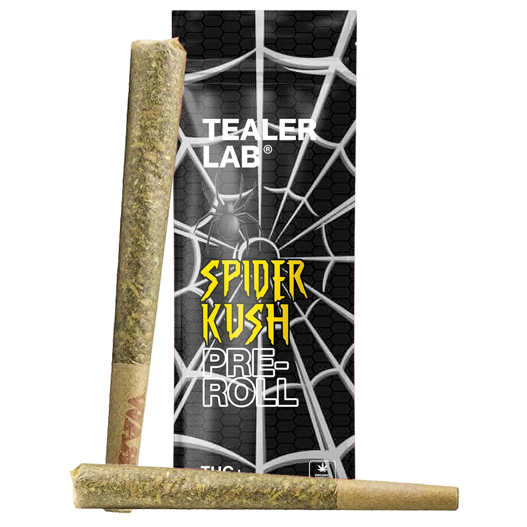Pack Preroll spider THC+