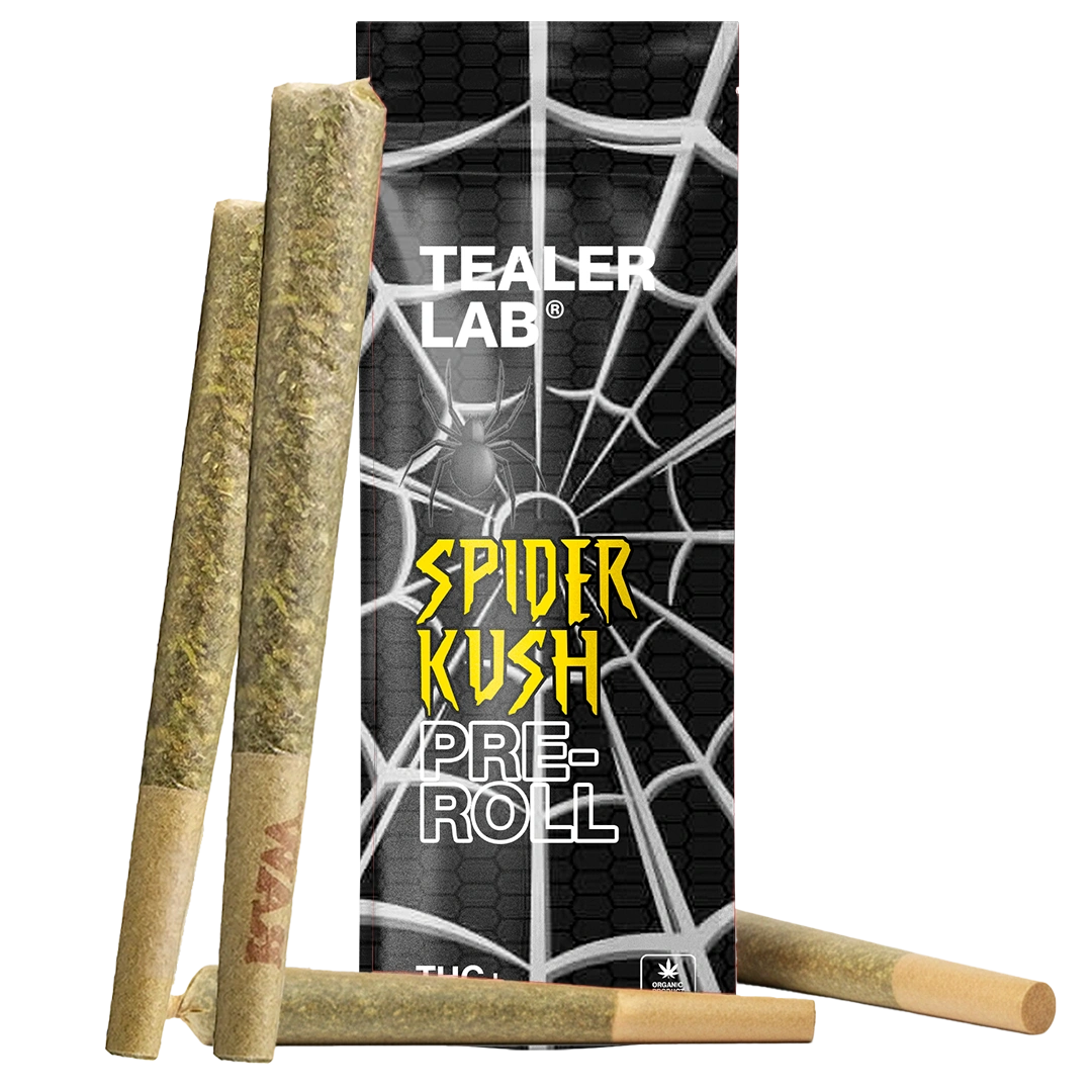Pack Preroll spider THC+