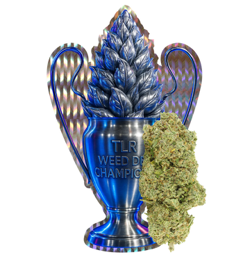 Tealer Champion Kush CBX