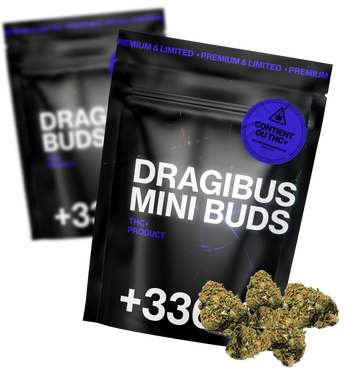 Dragibud TH+  1g + 1g offert