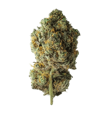 Billy Kimber Kush CBX