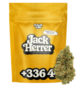 Jack Herrer THC+