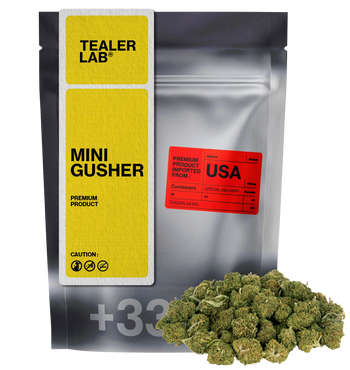 Mini Gusher THCA