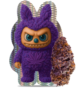Purple Labeubeu 27% THCA